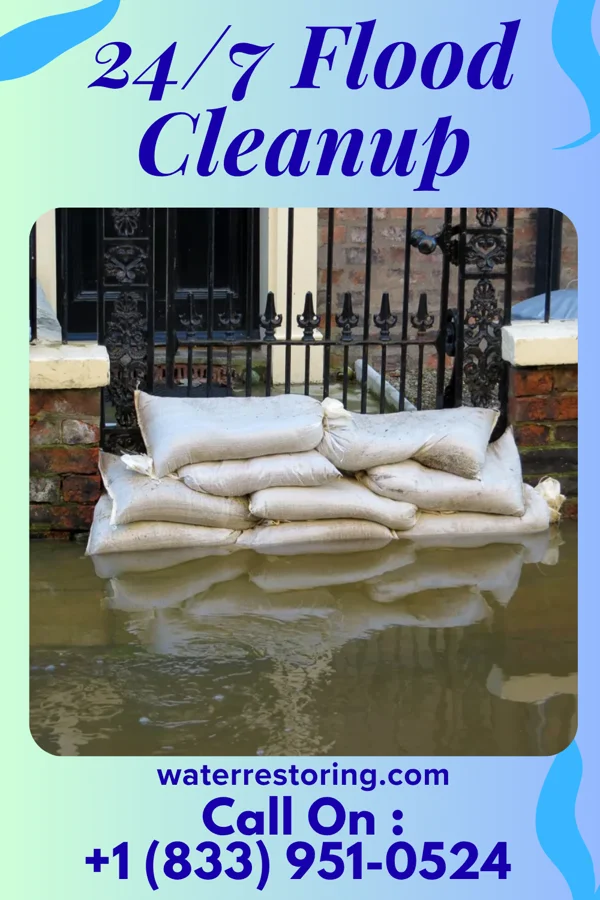 24/7 Flood Cleanup in White Branch, MO