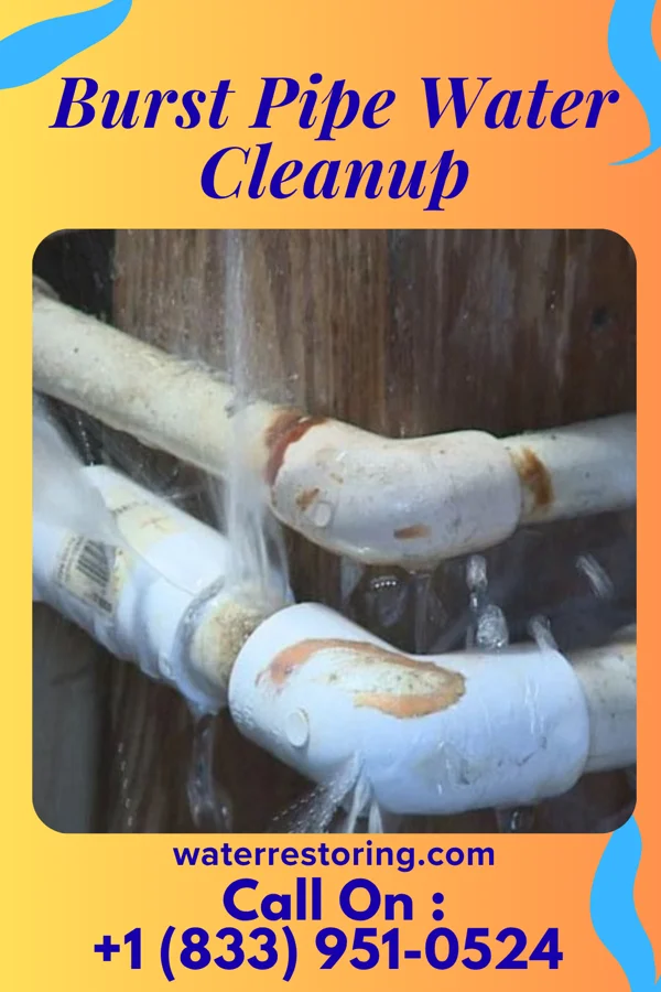 Burst Pipe Water Cleanup in White Branch, MO