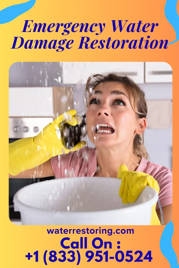 Emergency Water Damage Restoration in White Branch, MO