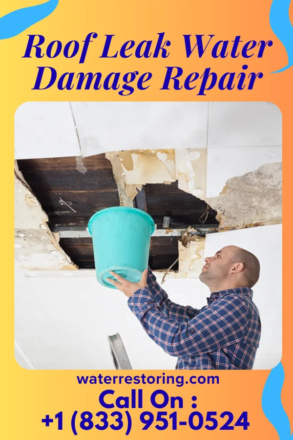 Roof Leak Water Damage Repair in White Branch, MO